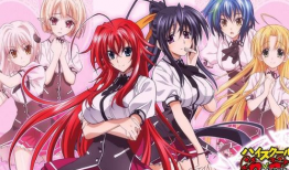 动漫后宫番,动漫世界中的权力与爱情角逐